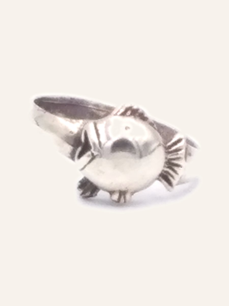 Bird ring