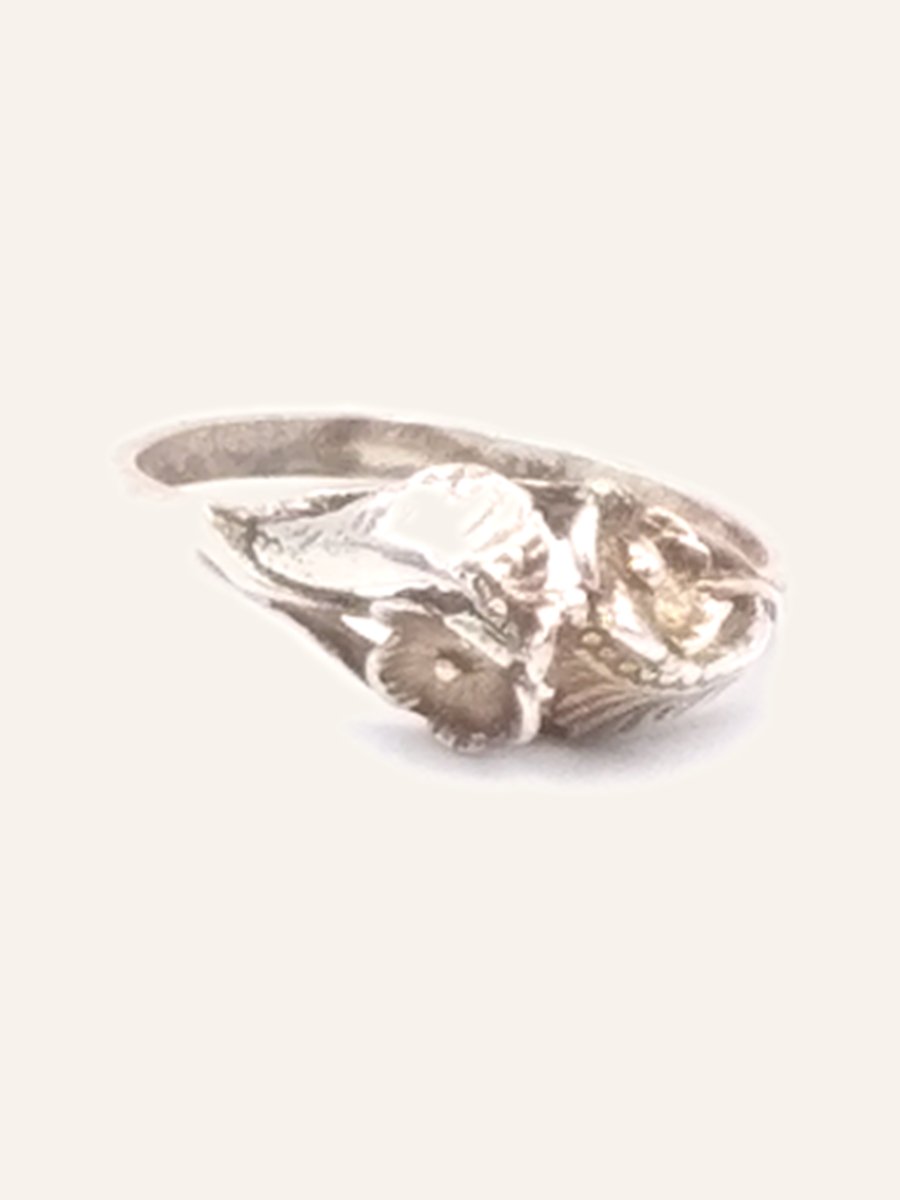 Chased fish ring