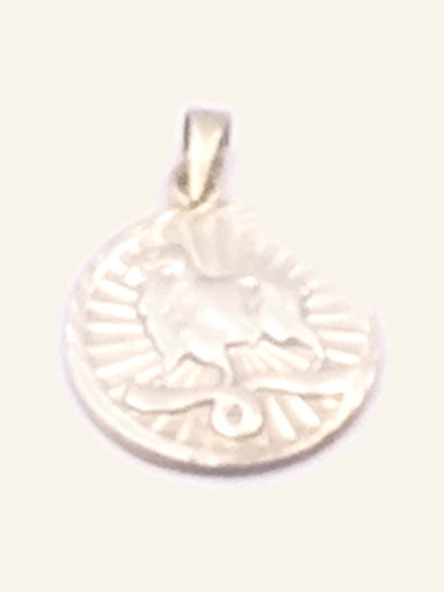 Leo zodiac medallion
